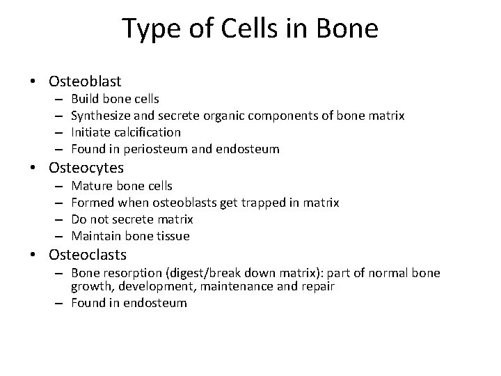 Type of Cells in Bone • Osteoblast – – Build bone cells Synthesize and