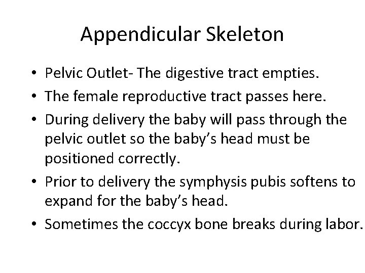 Appendicular Skeleton • Pelvic Outlet- The digestive tract empties. • The female reproductive tract