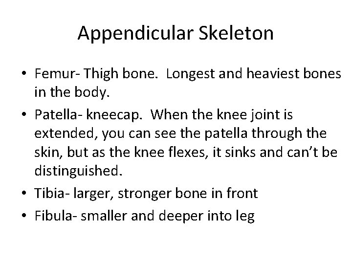 Appendicular Skeleton • Femur- Thigh bone. Longest and heaviest bones in the body. •