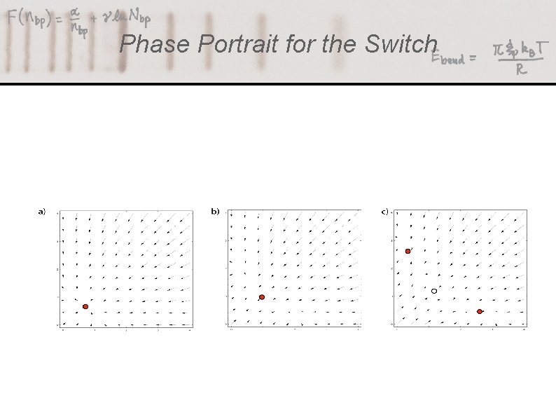 Phase Portrait for the Switch 
