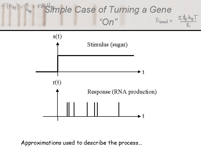 Simple Case of Turning a Gene “On” s(t) Stimulus (sugar) t r(t) Response (RNA