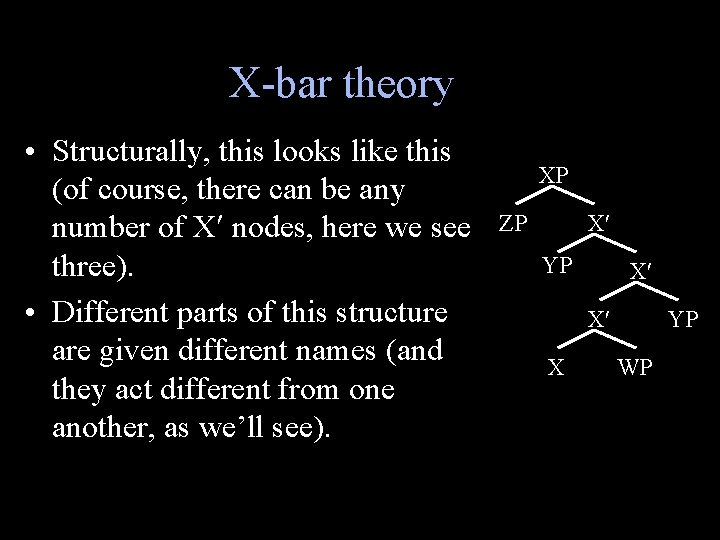 X-bar theory • Structurally, this looks like this (of course, there can be any