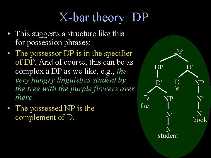 X-bar theory: DP • This suggests a structure like this for possession phrases: DP