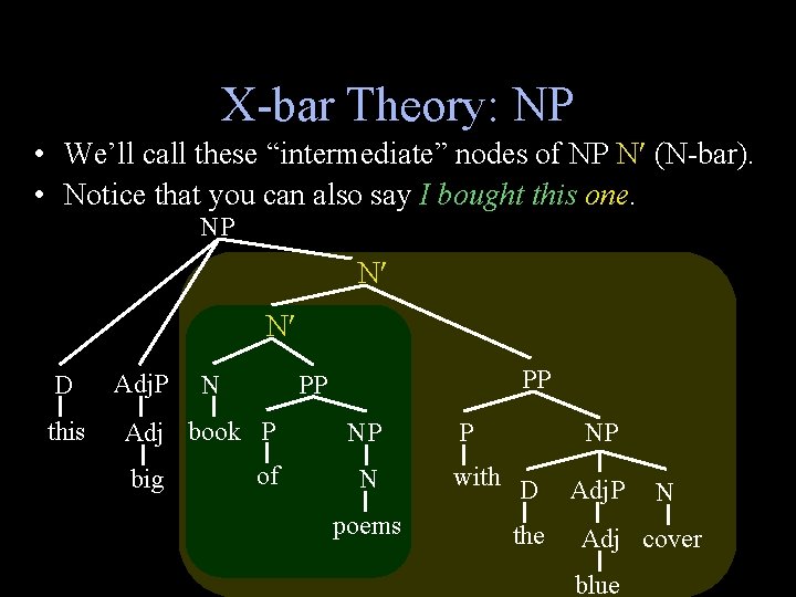 X-bar Theory: NP • We’ll call these “intermediate” nodes of NP N (N-bar). •
