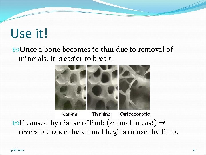 Use it! Once a bone becomes to thin due to removal of minerals, it