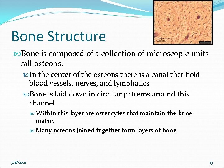 Bone Structure Bone is composed of a collection of microscopic units call osteons. In