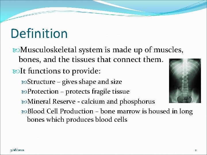 Definition Musculoskeletal system is made up of muscles, bones, and the tissues that connect