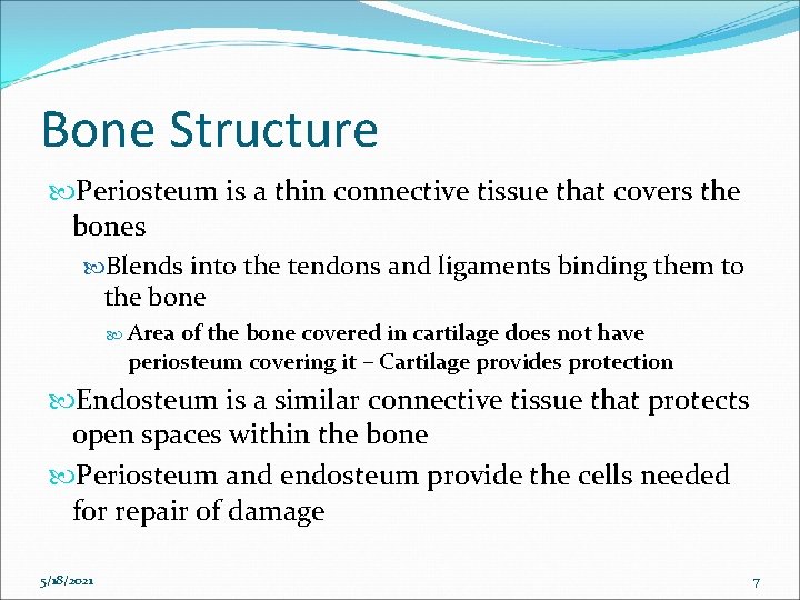 Bone Structure Periosteum is a thin connective tissue that covers the bones Blends into