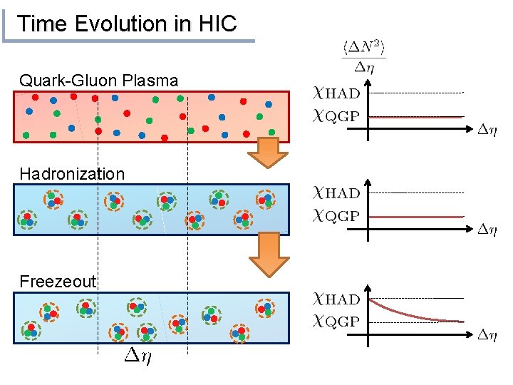 Time Evolution in HIC Quark-Gluon Plasma Hadronization Freezeout 