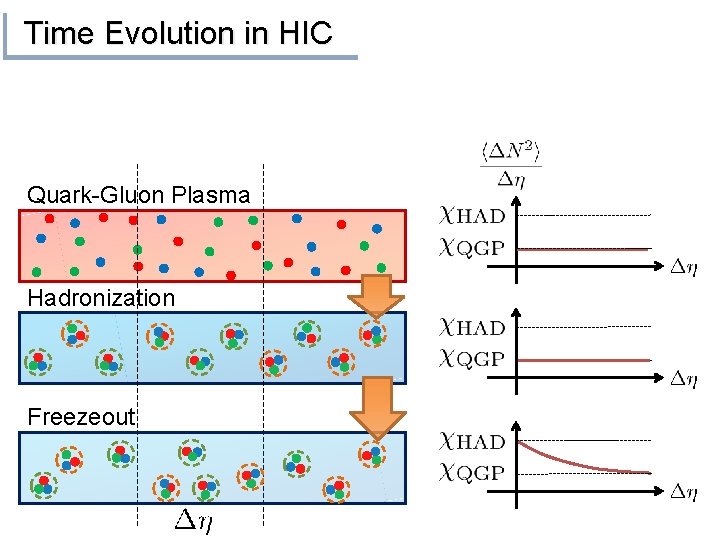 Time Evolution in HIC Quark-Gluon Plasma Hadronization Freezeout 