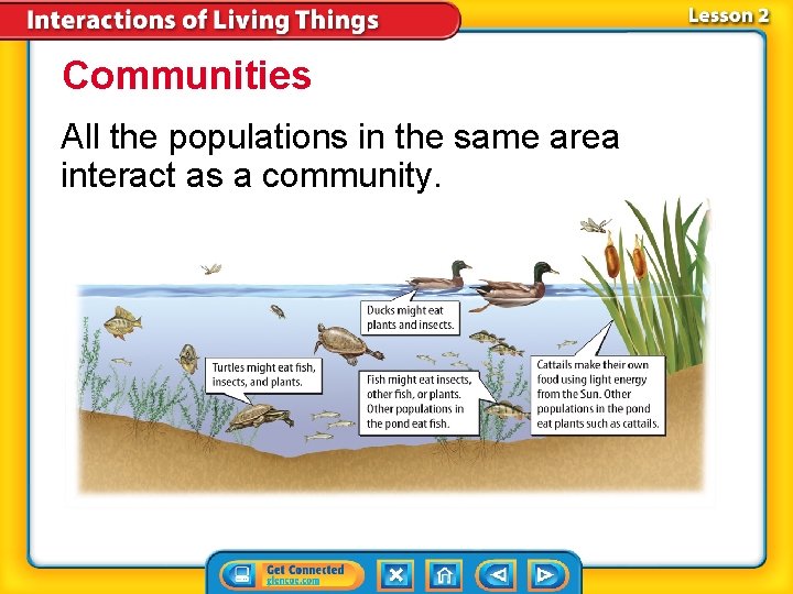 Communities All the populations in the same area interact as a community. 