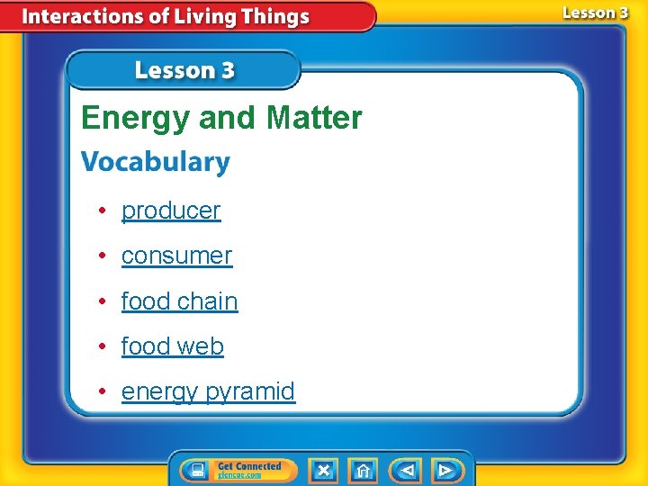 Energy and Matter • producer • consumer • food chain • food web •