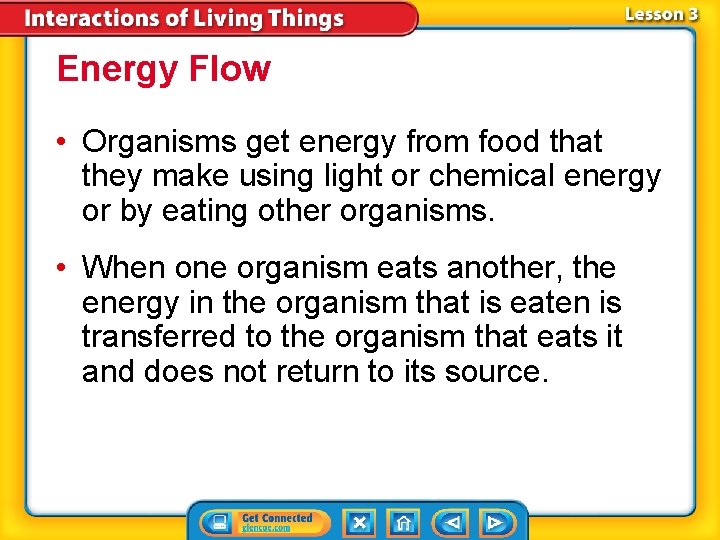 Energy Flow • Organisms get energy from food that they make using light or