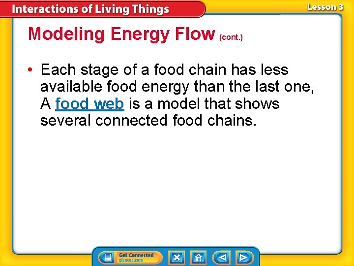 Modeling Energy Flow (cont. ) • Each stage of a food chain has less
