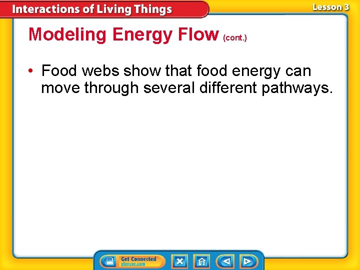 Modeling Energy Flow (cont. ) • Food webs show that food energy can move