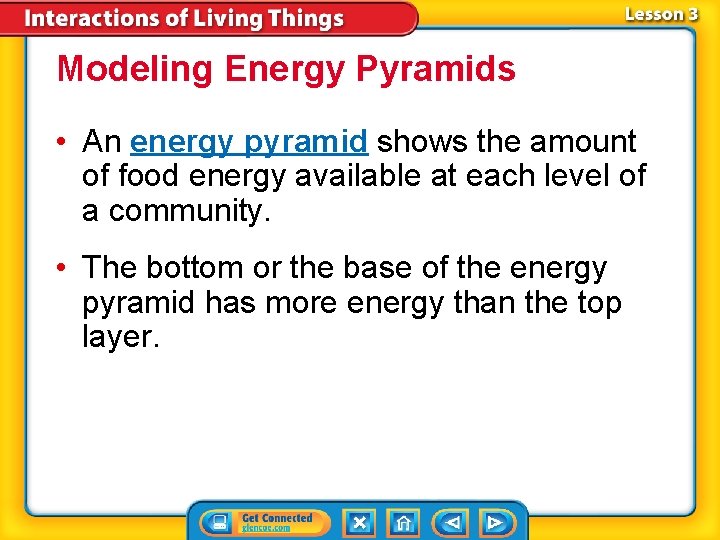 Modeling Energy Pyramids • An energy pyramid shows the amount of food energy available