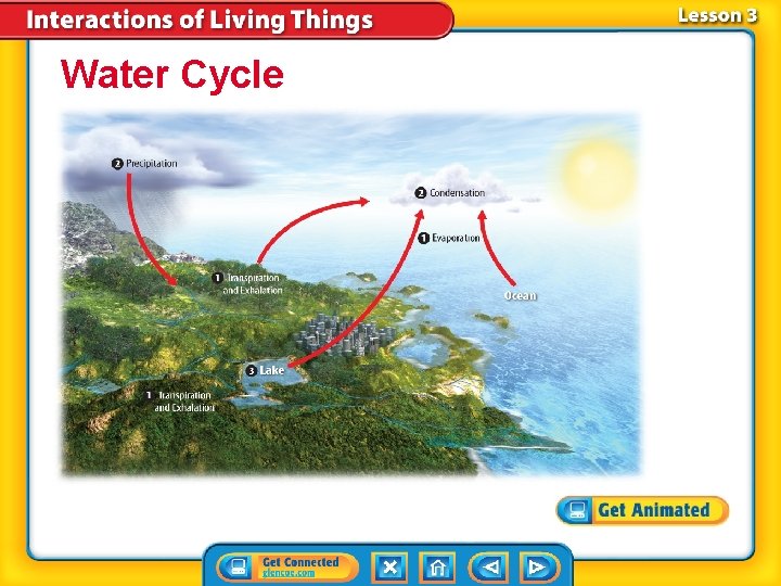 Water Cycle 