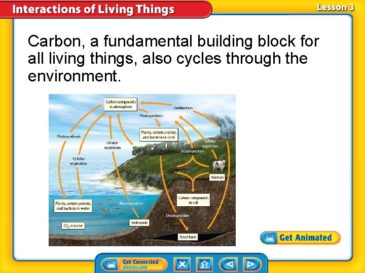 Carbon, a fundamental building block for all living things, also cycles through the environment.