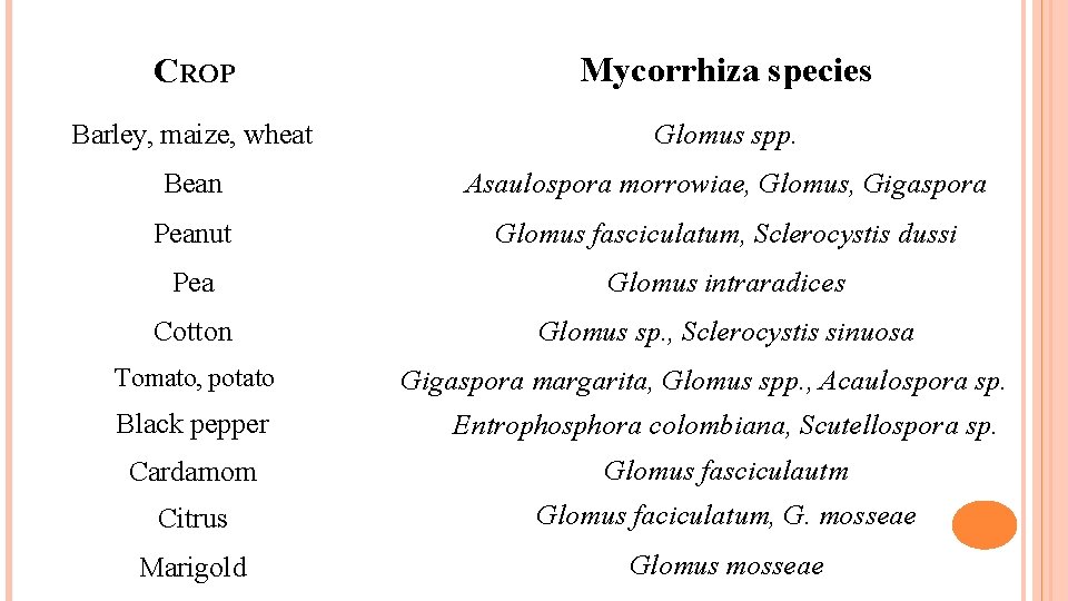 CROP Mycorrhiza species Barley, maize, wheat Glomus spp. Bean Asaulospora morrowiae, Glomus, Gigaspora Peanut