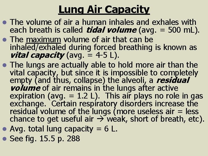 Lung Air Capacity l l l The volume of air a human inhales and