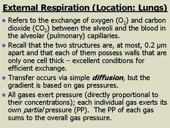 External Respiration (Location: Lungs) Refers to the exchange of oxygen (O 2) and carbon
