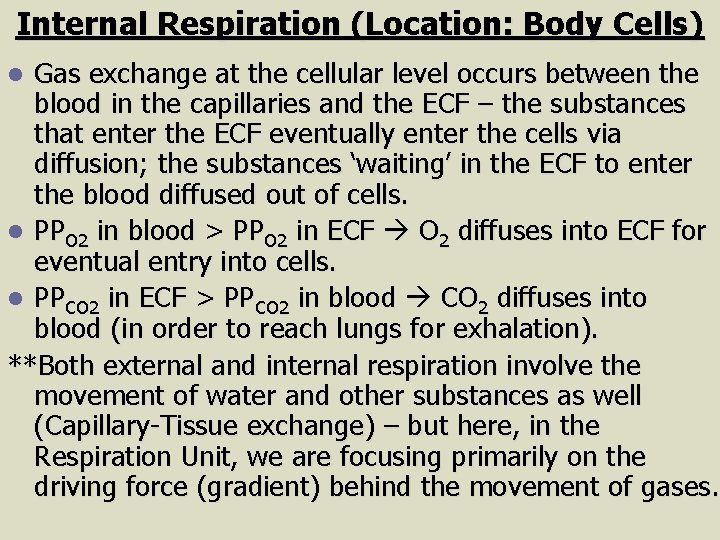 Internal Respiration (Location: Body Cells) Gas exchange at the cellular level occurs between the