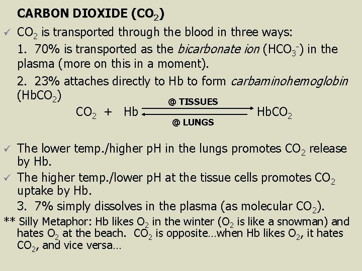 CARBON DIOXIDE (CO 2) ü CO 2 is transported through the blood in three