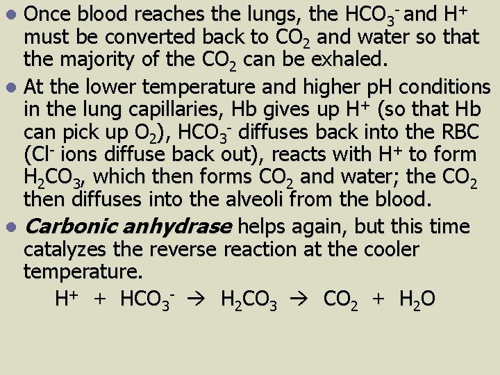 Once blood reaches the lungs, the HCO 3 - and H+ must be converted