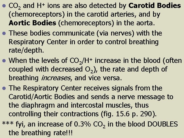 CO 2 and H+ ions are also detected by Carotid Bodies (chemoreceptors) in the