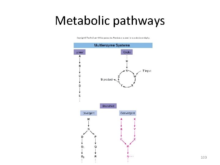 Metabolic pathways 103 