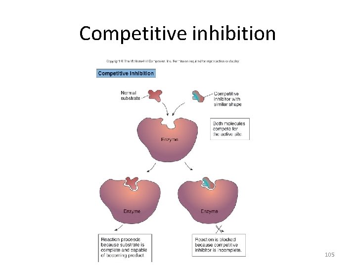 Competitive inhibition 105 