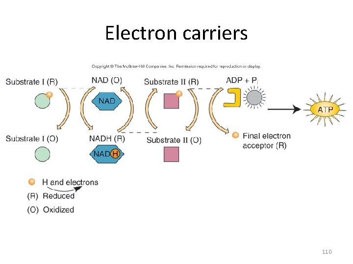 Electron carriers 110 