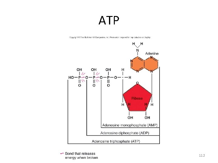 ATP 112 