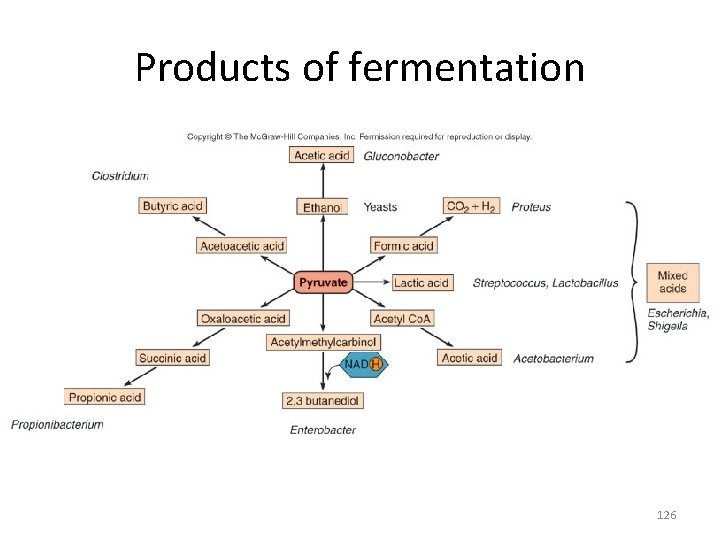 Products of fermentation 126 