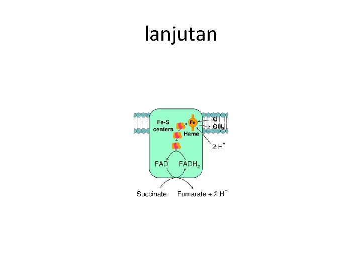 lanjutan 