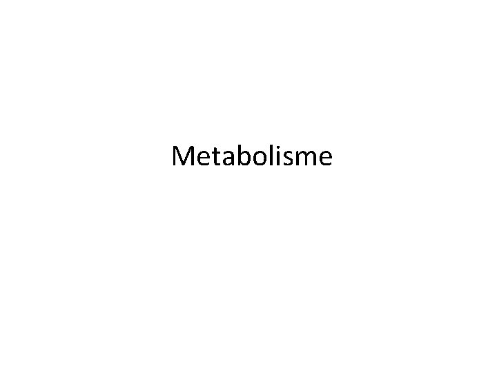 Metabolisme 