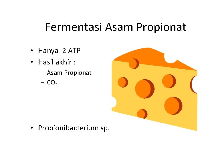 Fermentasi Asam Propionat • Hanya 2 ATP • Hasil akhir : – Asam Propionat