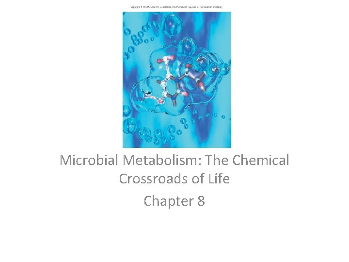 Microbial Metabolism: The Chemical Crossroads of Life Chapter 8 