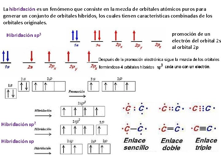 La hibridación es un fenómeno que consiste en la mezcla de orbítales atómicos puros