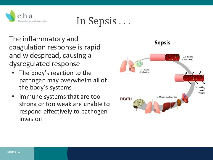In Sepsis. . . The inflammatory and coagulation response is rapid and widespread, causing In Sepsis. . . The inflammatory and coagulation response is rapid and widespread, causing