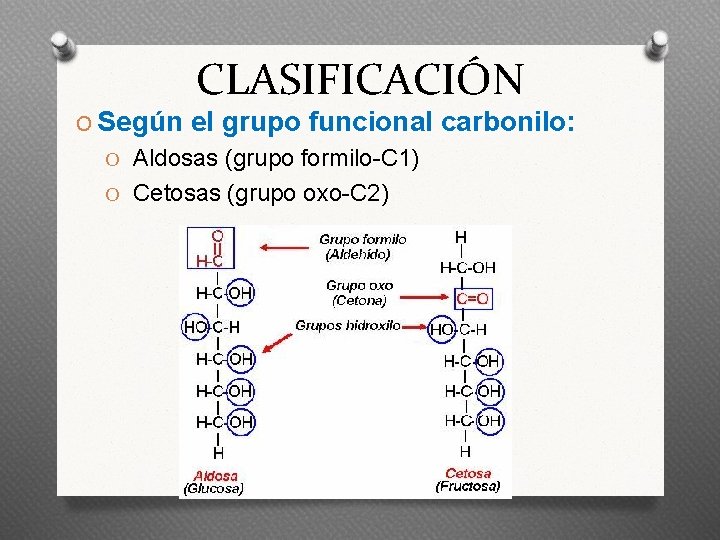 CLASIFICACIÓN O Según el grupo funcional carbonilo: O Aldosas (grupo formilo-C 1) O Cetosas