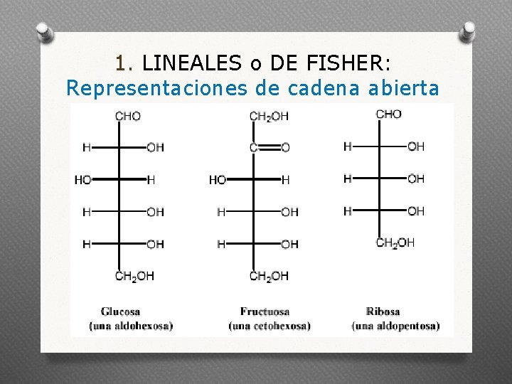 1. LINEALES o DE FISHER: Representaciones de cadena abierta 