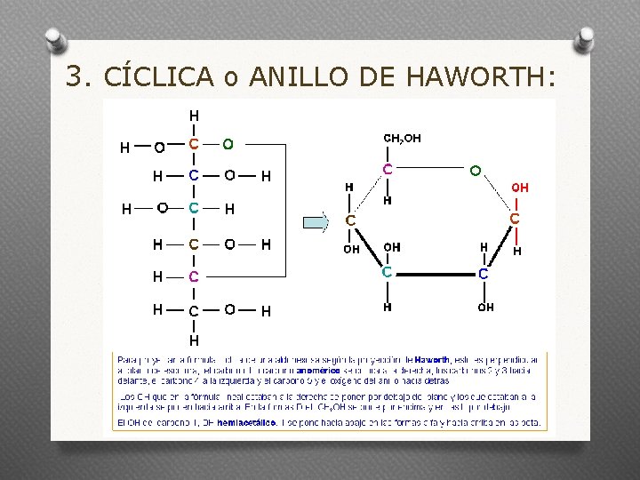 3. CÍCLICA o ANILLO DE HAWORTH: 