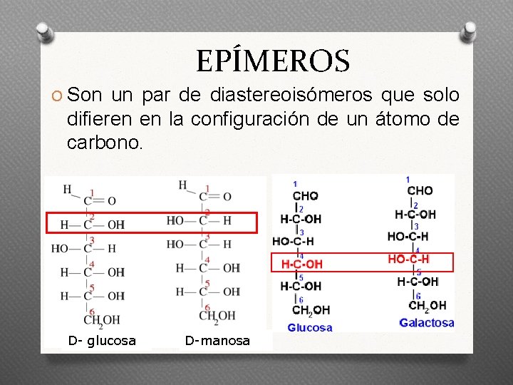 EPÍMEROS O Son un par de diastereoisómeros que solo difieren en la configuración de