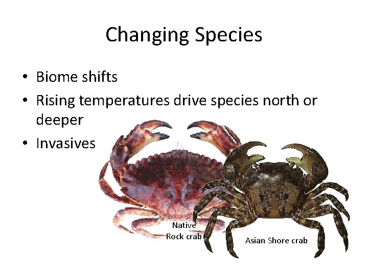 Changing Species • Biome shifts • Rising temperatures drive species north or deeper •