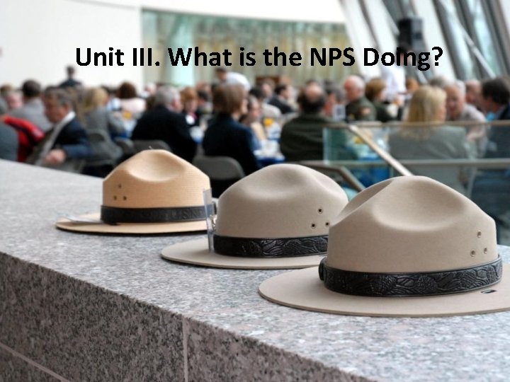 Unit III. What is the NPS Doing? 