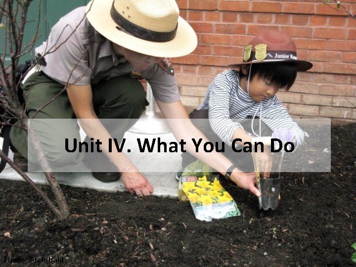 Unit IV. What You Can Do Photo: Archibald 