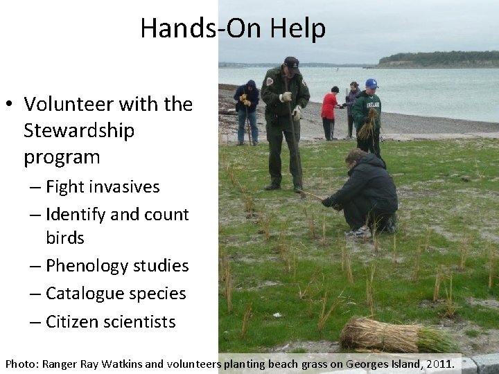 Hands-On Help • Volunteer with the Stewardship program – Fight invasives – Identify and