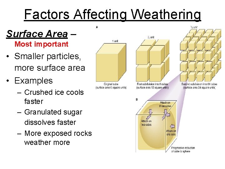 Factors Affecting Weathering Surface Area – Most important • Smaller particles, more surface area