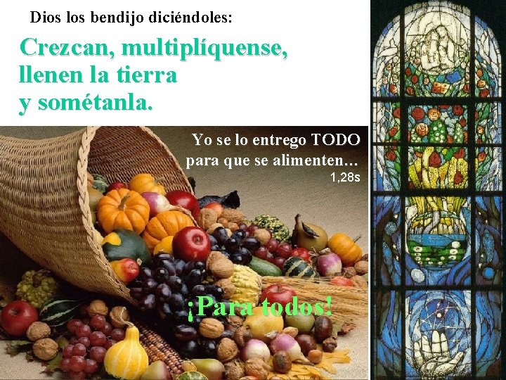 Dios los bendijo diciéndoles: Crezcan, multiplíquense, llenen la tierra y sométanla. Yo se lo